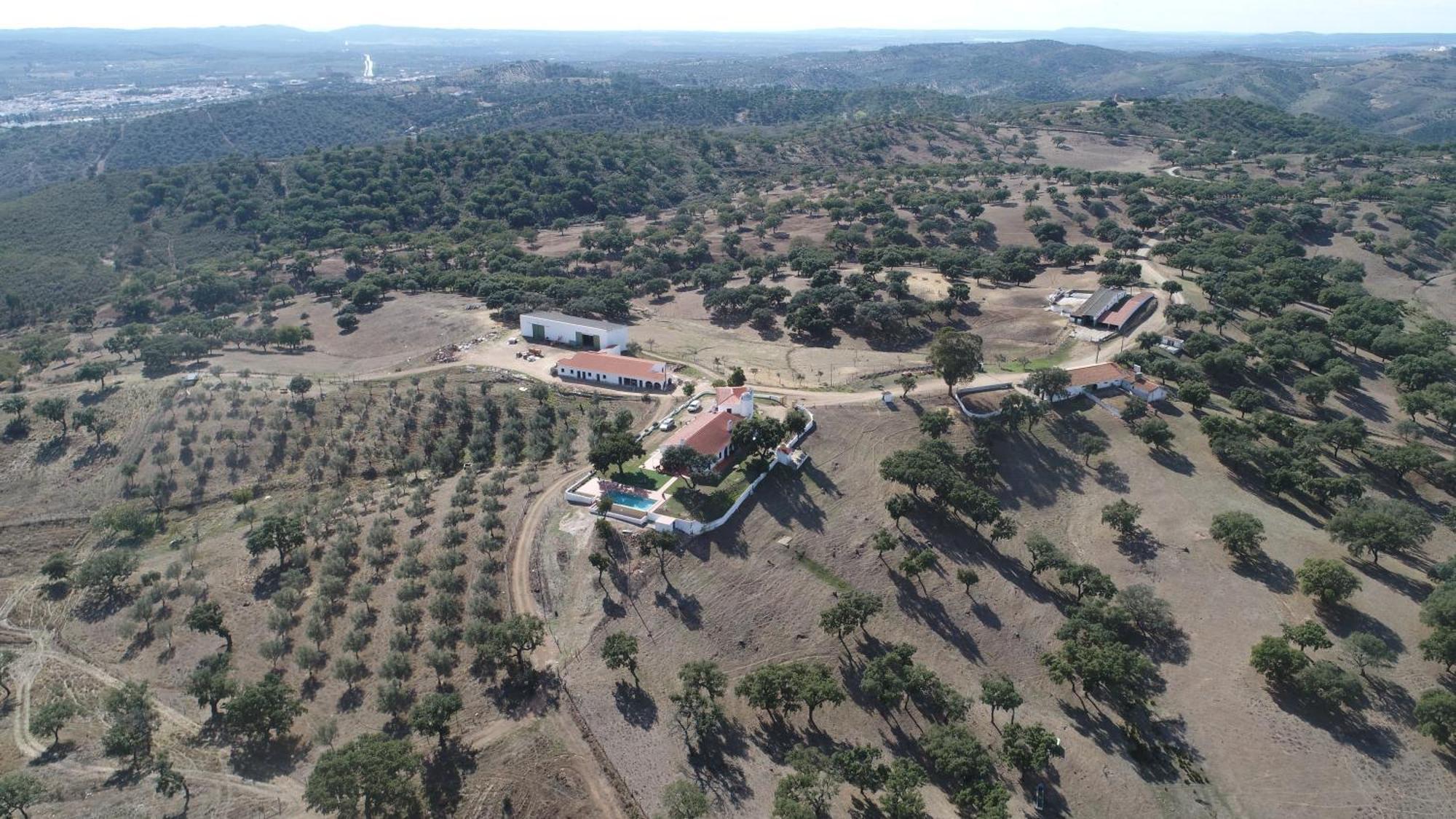 Herdade Vale De Cabras 波特尔 外观 照片