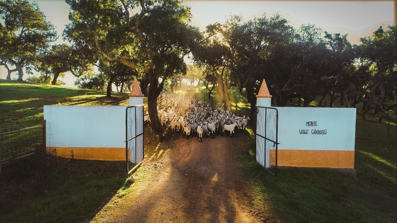 Herdade Vale De Cabras 波特尔 外观 照片