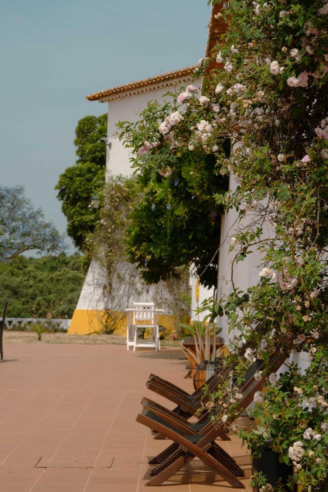 Herdade Vale De Cabras 波特尔 外观 照片