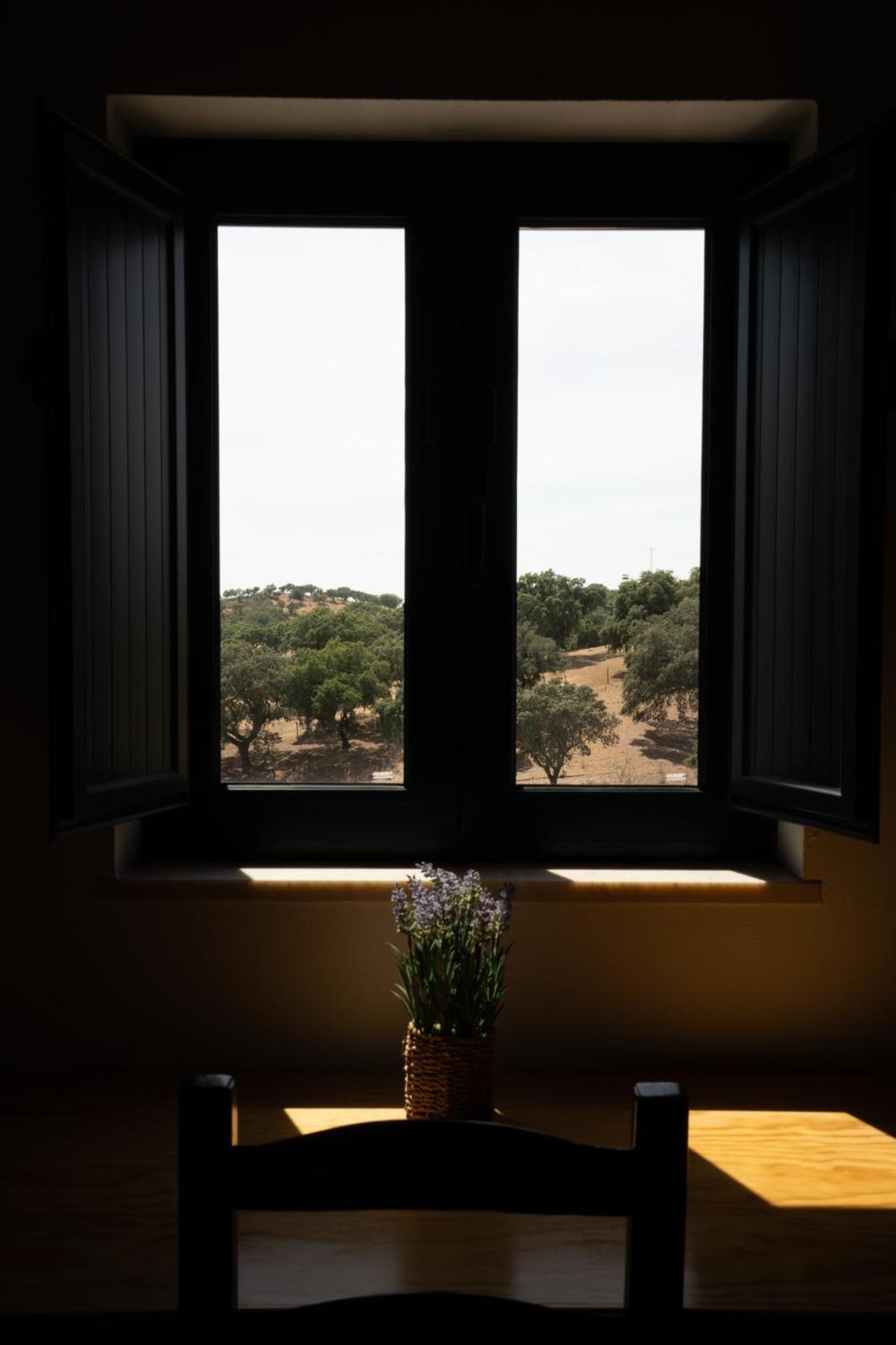 Herdade Vale De Cabras 波特尔 外观 照片